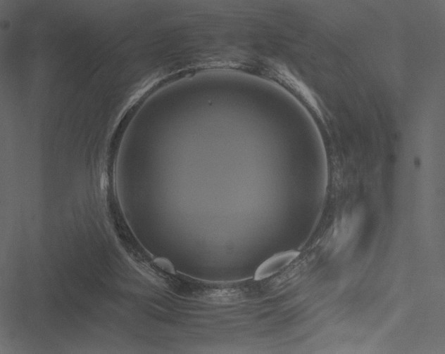 X0000051240059200506171121