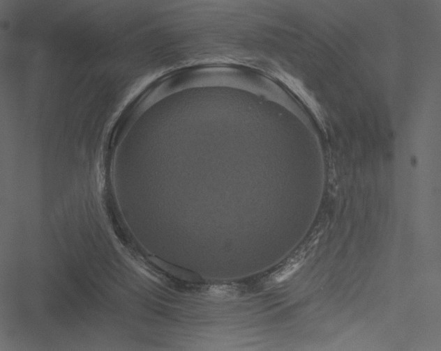 X0000051240060200506171121