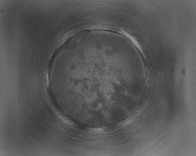 X0000051240061200506171121