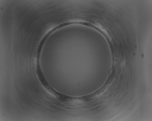 X0000051240063200506171121