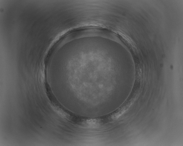 X0000051240064200506171121