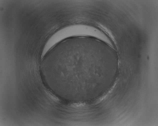 X0000051240065200506171121