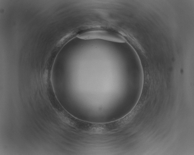 X0000051240066200506171121