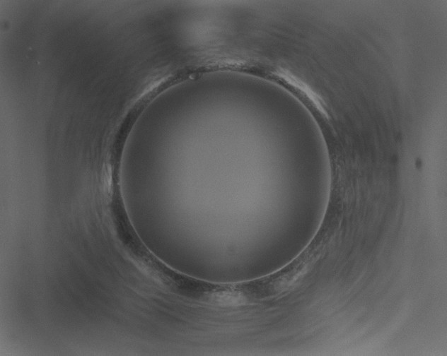 X0000051240067200506171121