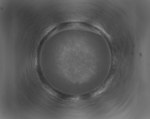 X0000051240068200506171121