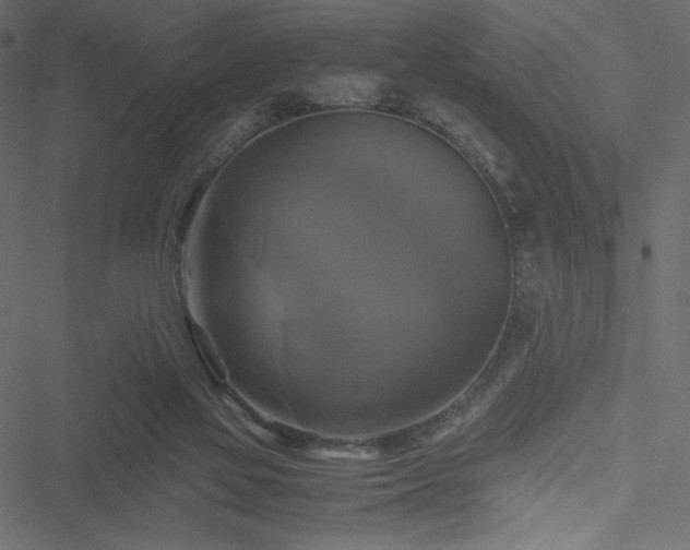 X0000051240069200506171121