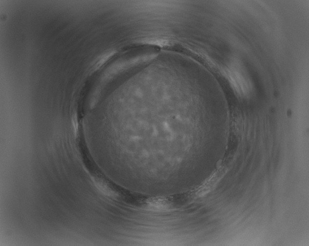 X0000051240070200506171121