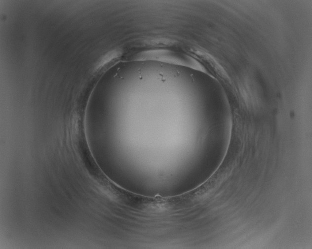 X0000051240071200506171121