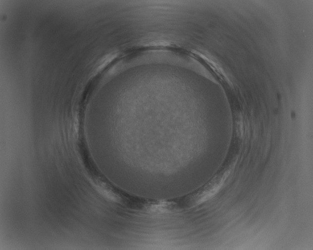 X0000051240072200506171121