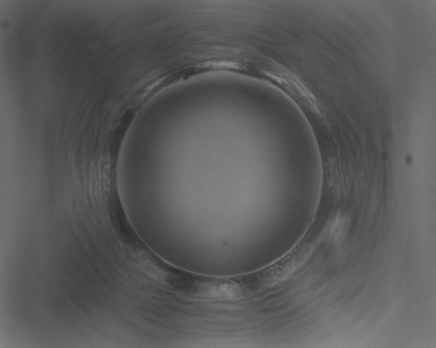 X0000051240073200506171121