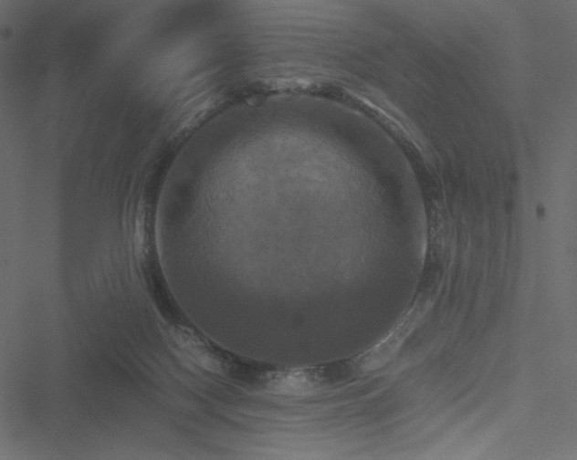 X0000051240074200506171121