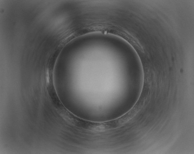 X0000051240075200506171121