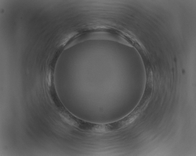 X0000051240076200506171121