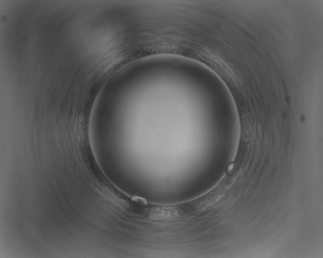 X0000051240077200506171121