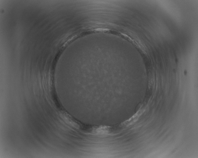 X0000051240078200506171121