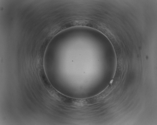 X0000051240079200506171121