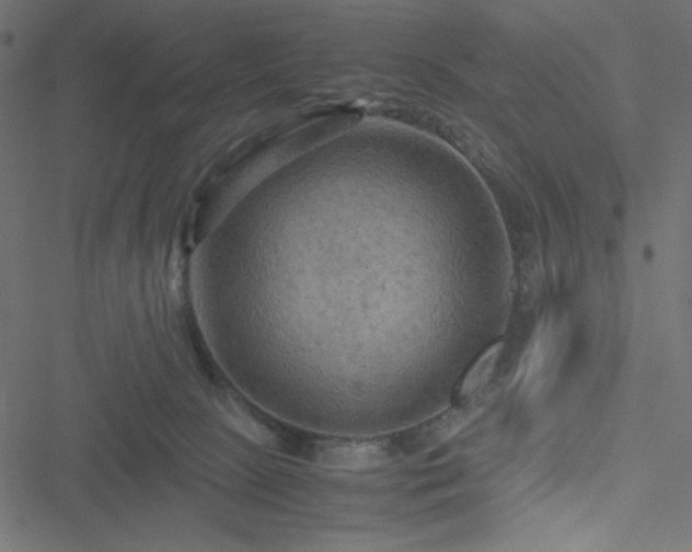 X0000051240081200506171121