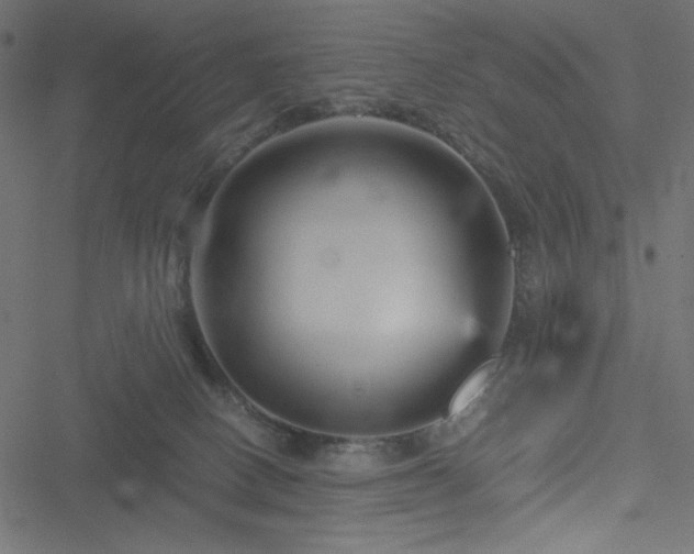 X0000051240082200506171121