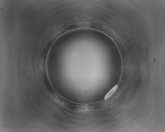 X0000051240083200506171121