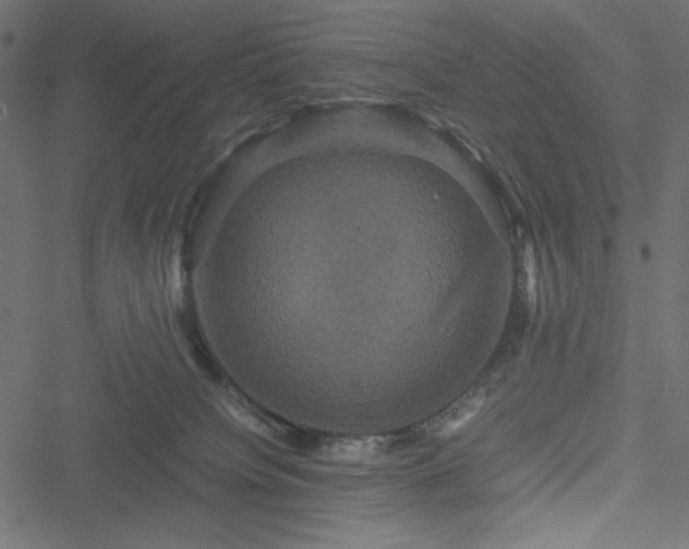 X0000051240084200506171121