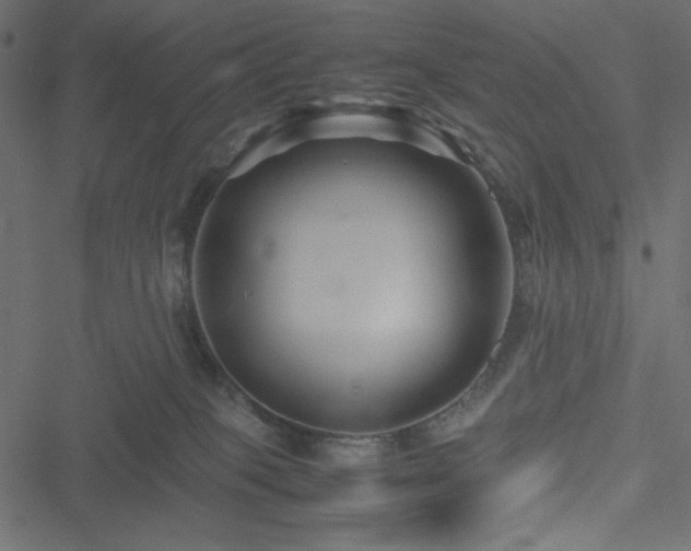 X0000051240085200506171121