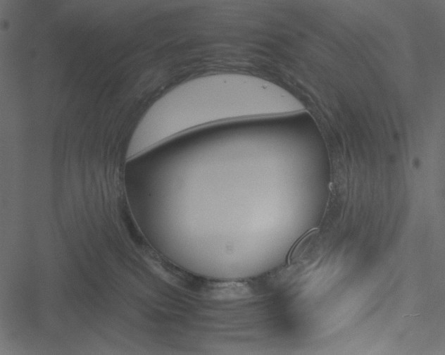 X0000051240087200506171121