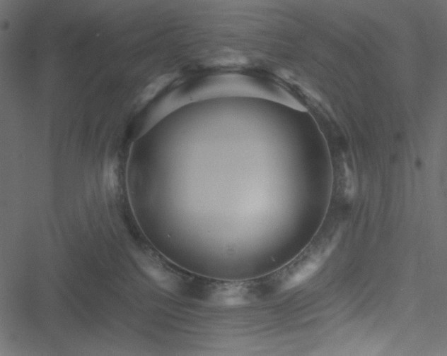 X0000051240088200506171121