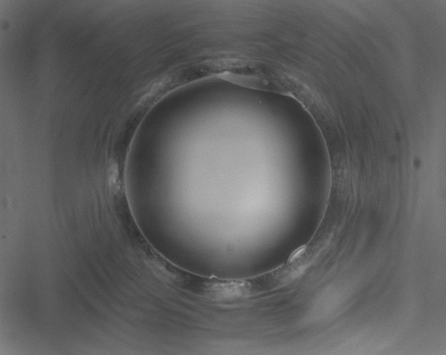 X0000051240089200506171121