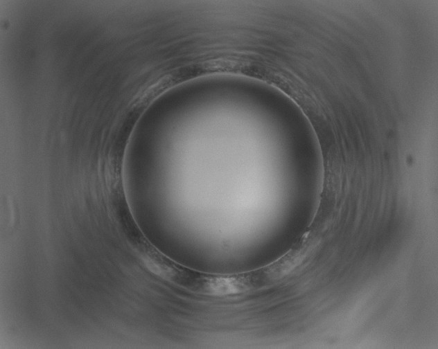 X0000051240091200506171121