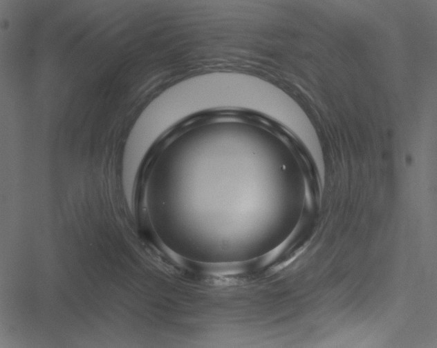 X0000051240092200506171121