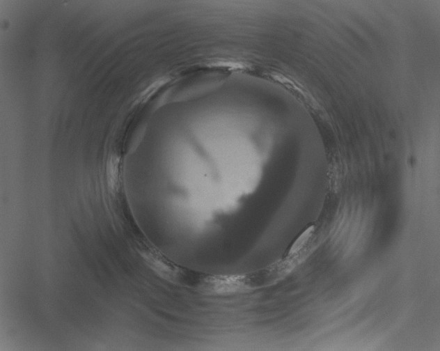 X0000051240093200506171121