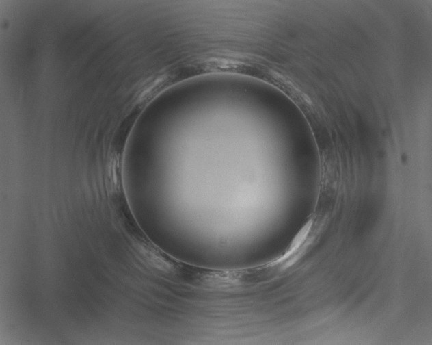 X0000051240094200506171121