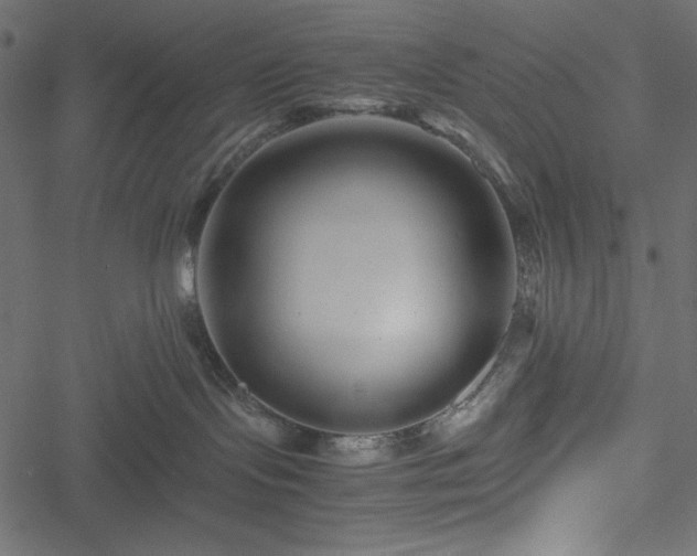 X0000051240095200506171121