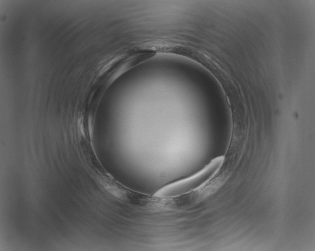 X0000051240096200506171121