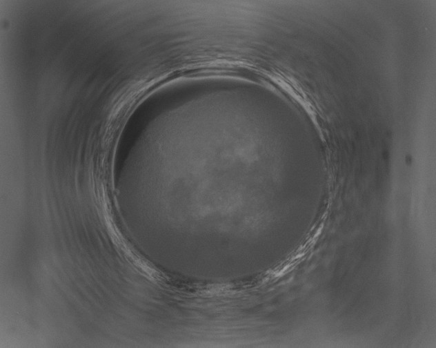 X0000051240097200506171120