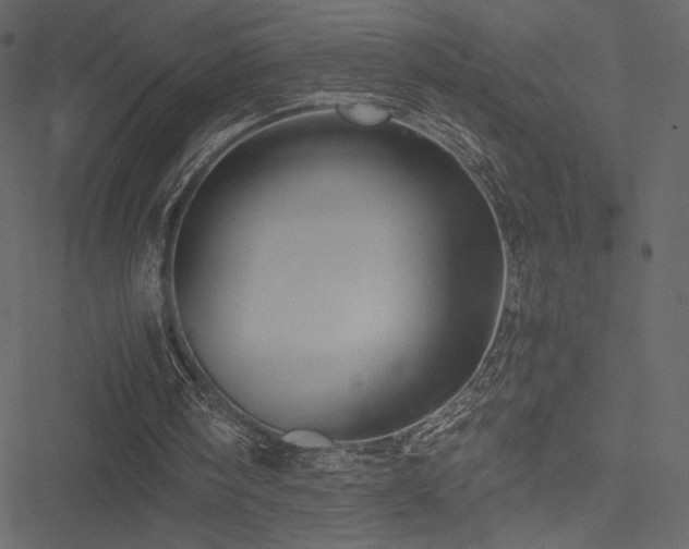 X0000051240098200506171120