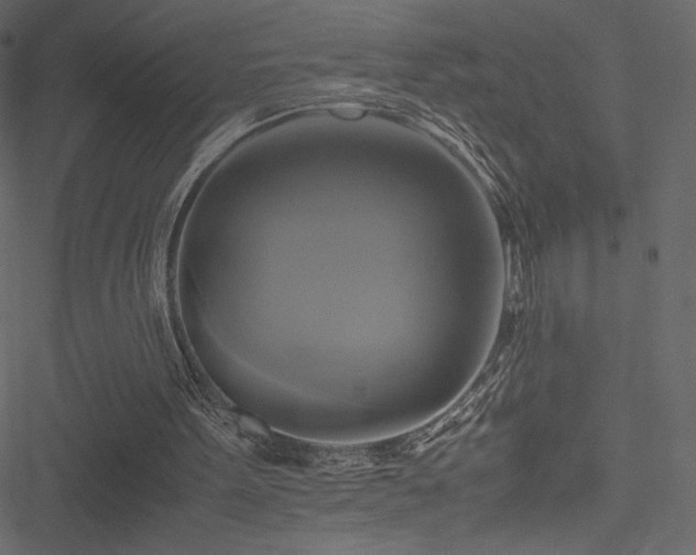 X0000051240099200506171120