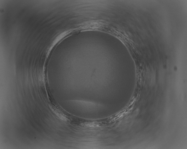 X0000051240100200506171120