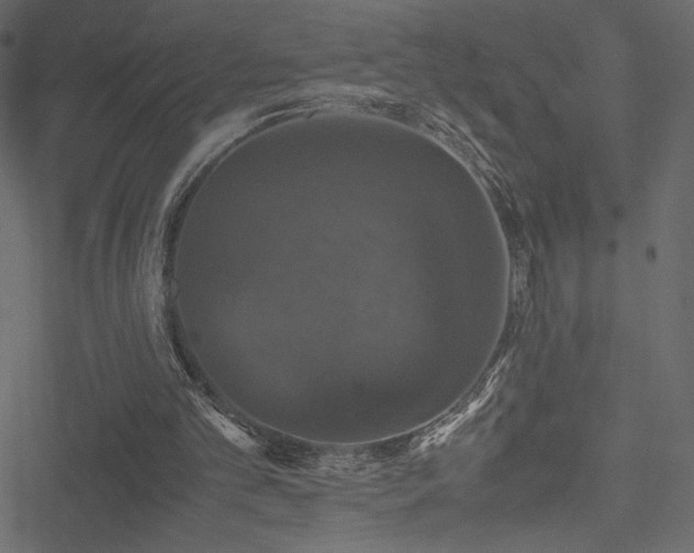 X0000051240101200506171120