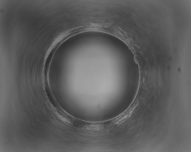 X0000051240102200506171120