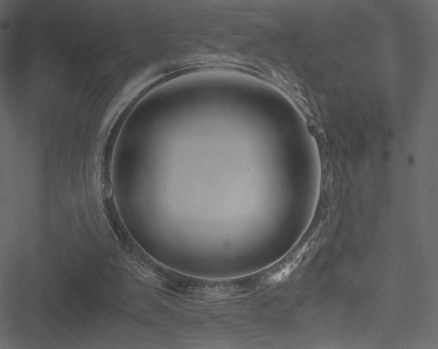 X0000051240103200506171120