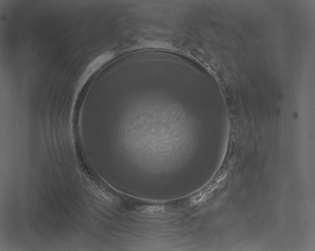 X0000051240104200506171120