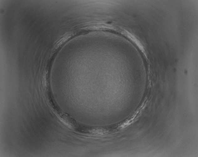 X0000051240105200506171120