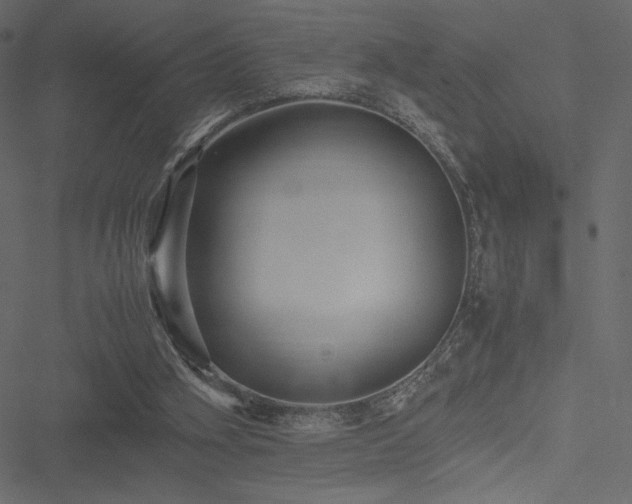 X0000051240106200506171120