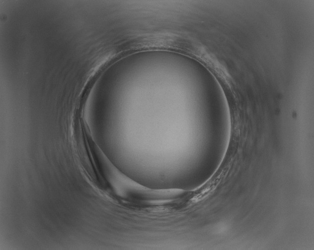 X0000051240107200506171120