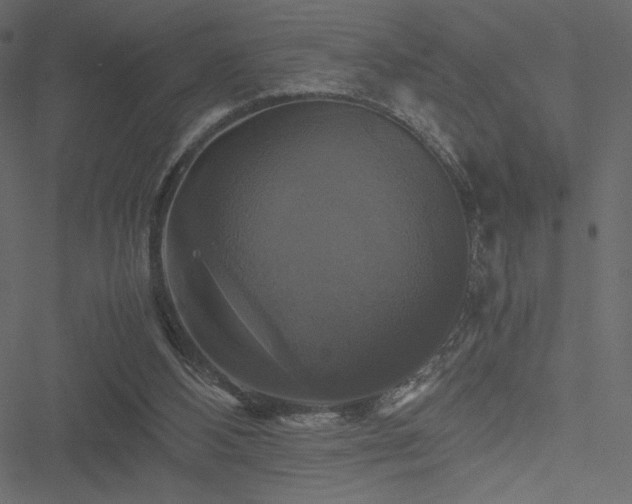 X0000051240108200506171120