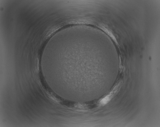 X0000051240109200506171120