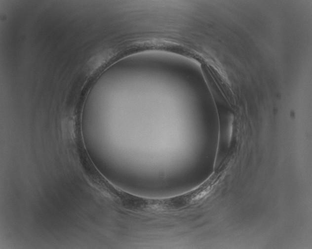 X0000051240111200506171120