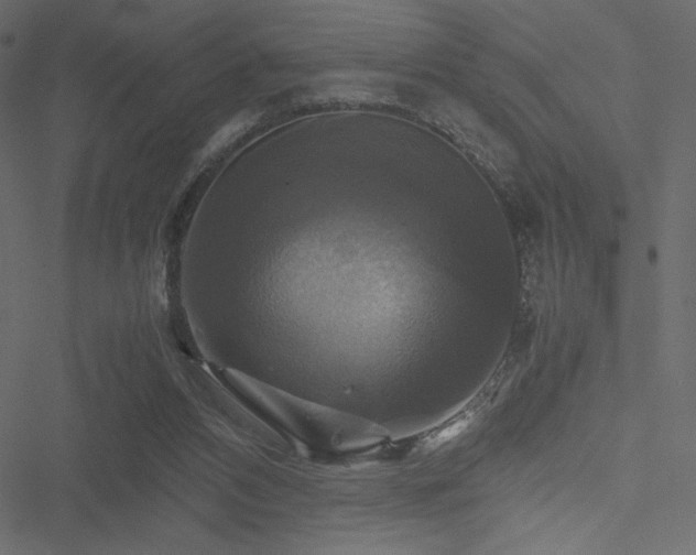 X0000051240112200506171120