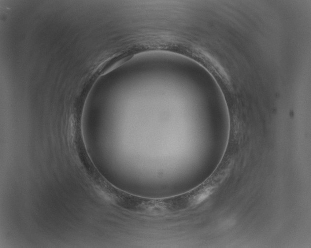 X0000051240113200506171120